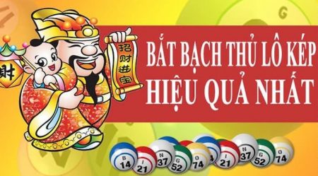 o de bach thu la gi hinh anh 1
